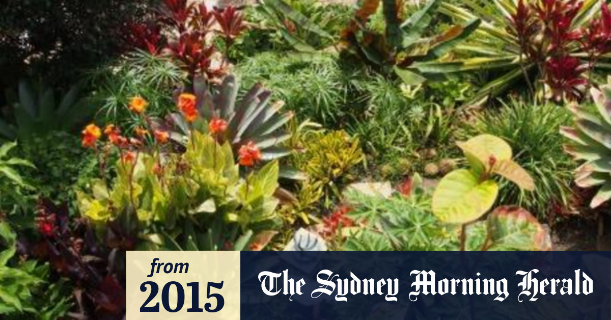 Behind the Walls tours gardens in Carthona Avenue, Darling Point